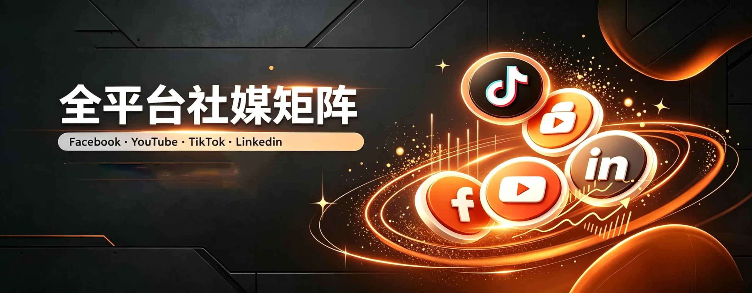 banner图2